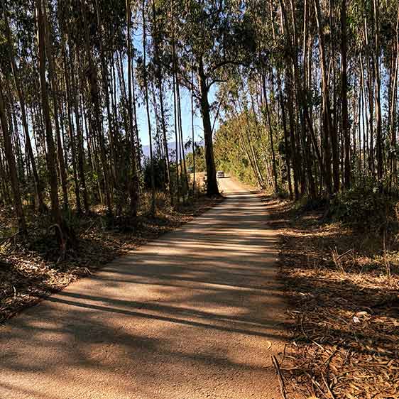 Your Journey to Leadership